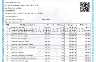 HOÁ ĐƠN GIÁ TRỊ GIA TĂNG